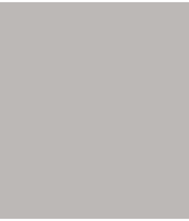 LX.109 - Concrete Gray