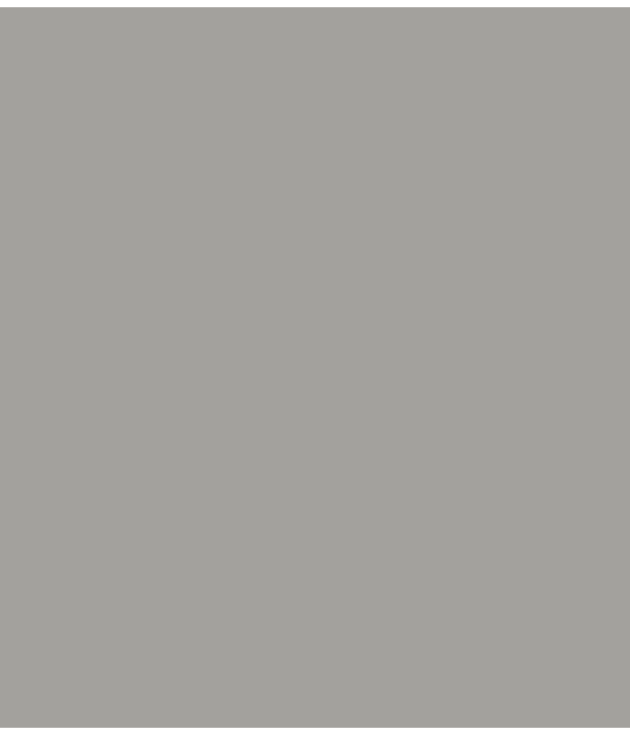 LX.110 - Aesthetic Gray