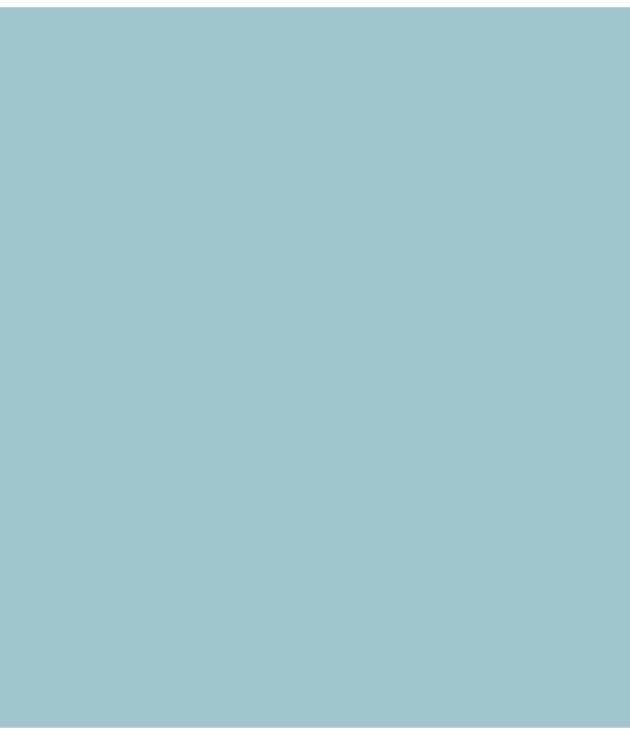 LX.129 - Ocean Liner
