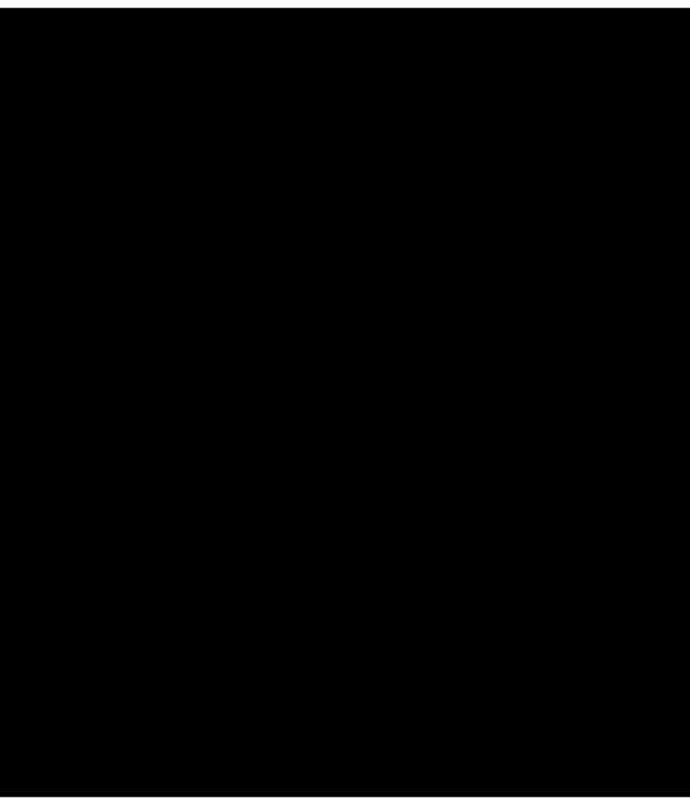 LX.132 - Z-black